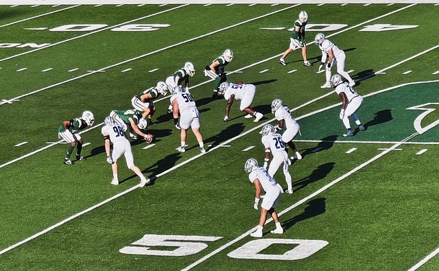 体能训练 体能训练