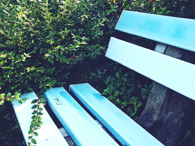 爱好者奉献 爱好者奉献